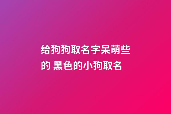 给狗狗取名字呆萌些的 黑色的小狗取名